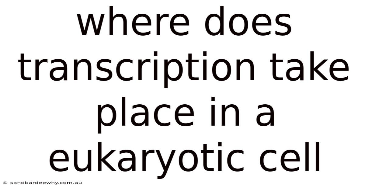 Where Does Transcription Take Place In A Eukaryotic Cell