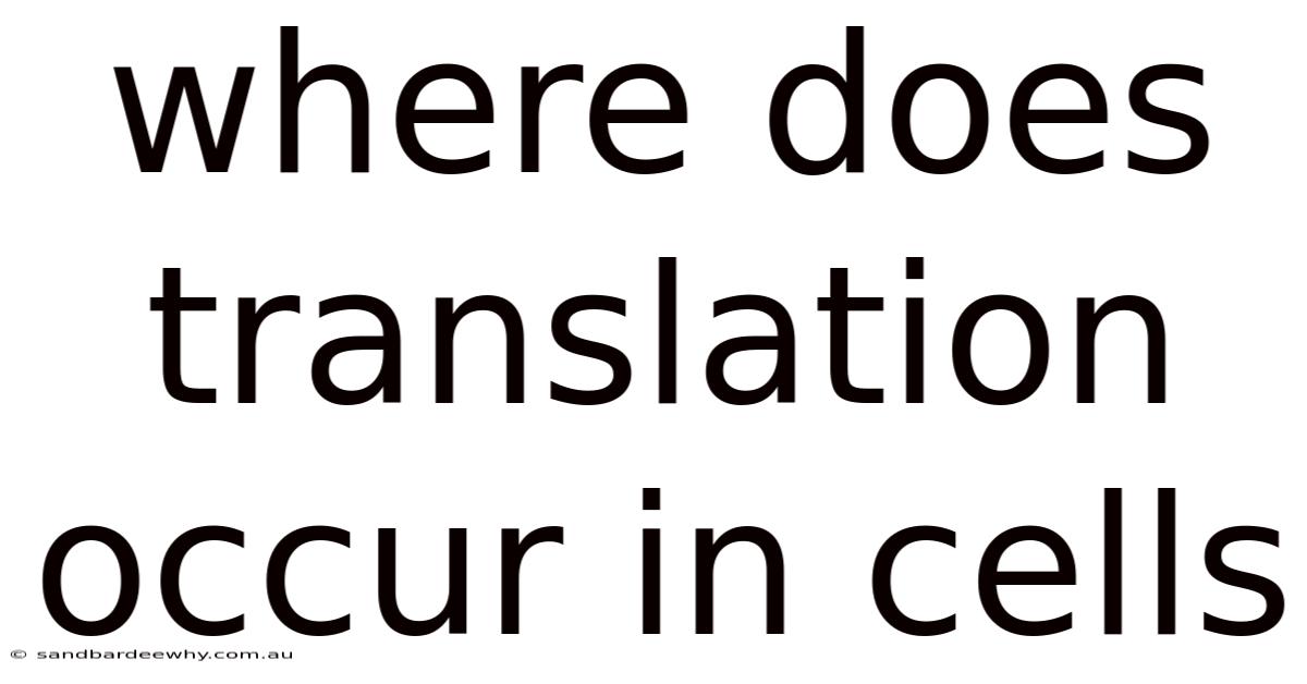 Where Does Translation Occur In Cells