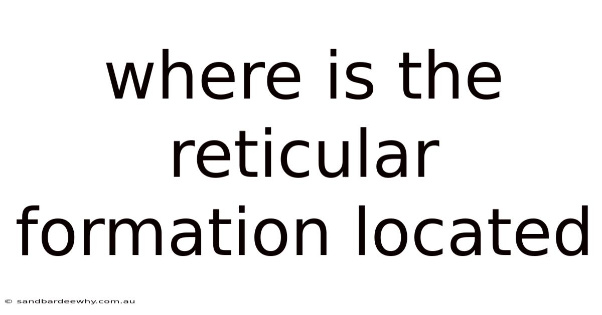 Where Is The Reticular Formation Located