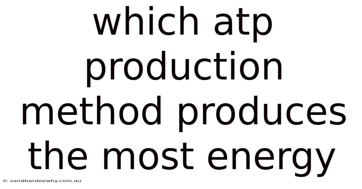 Which Atp Production Method Produces The Most Energy