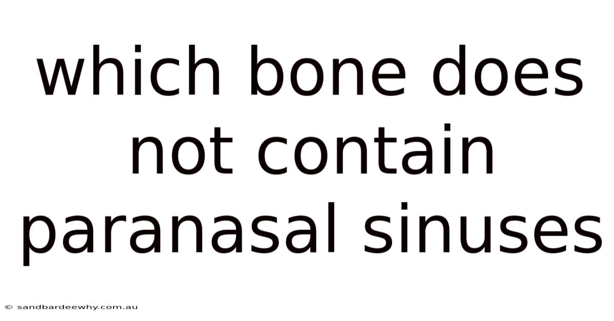 Which Bone Does Not Contain Paranasal Sinuses