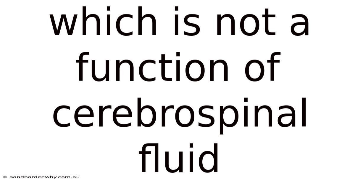 Which Is Not A Function Of Cerebrospinal Fluid