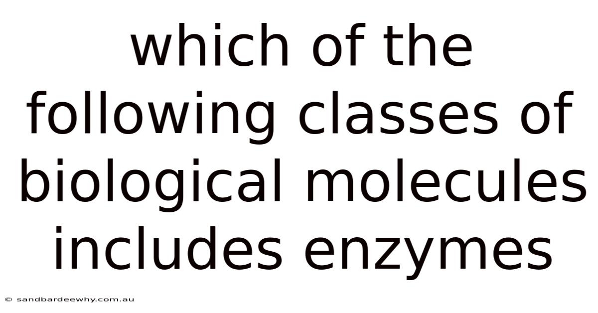 Which Of The Following Classes Of Biological Molecules Includes Enzymes