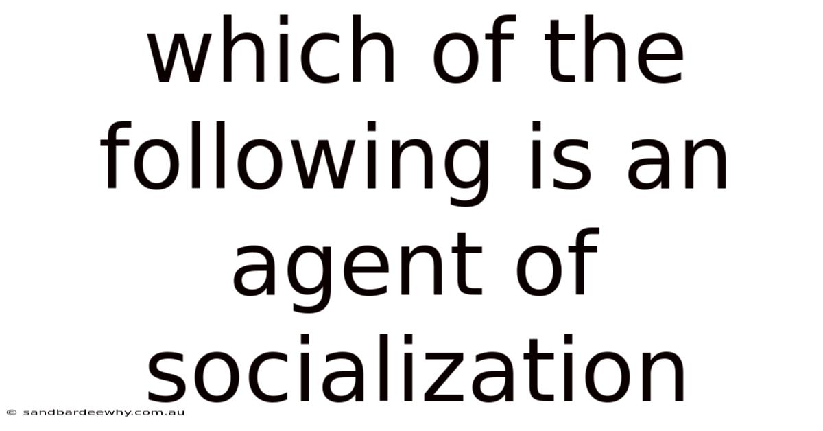 Which Of The Following Is An Agent Of Socialization