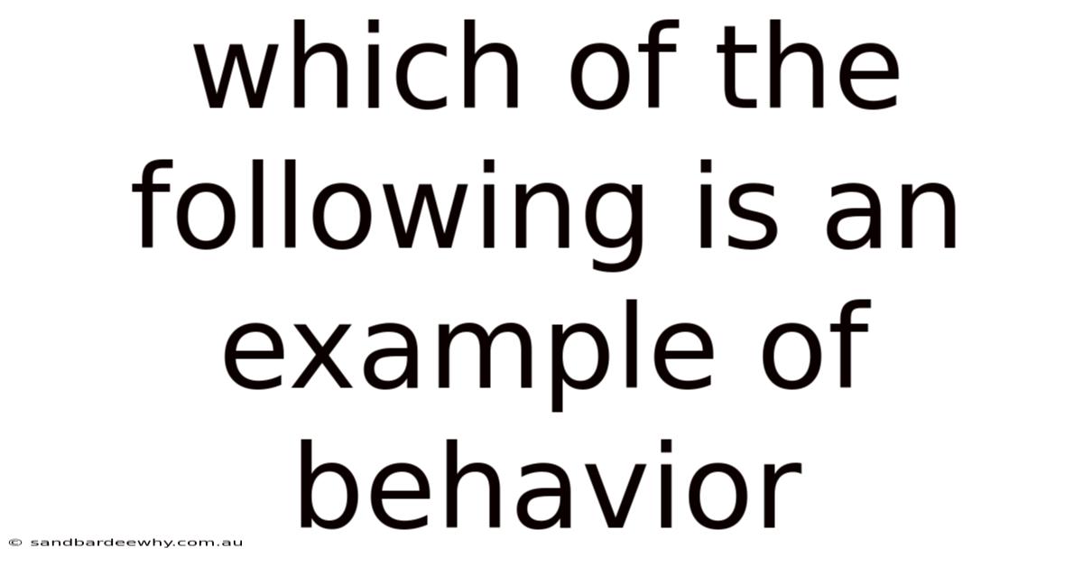 Which Of The Following Is An Example Of Behavior