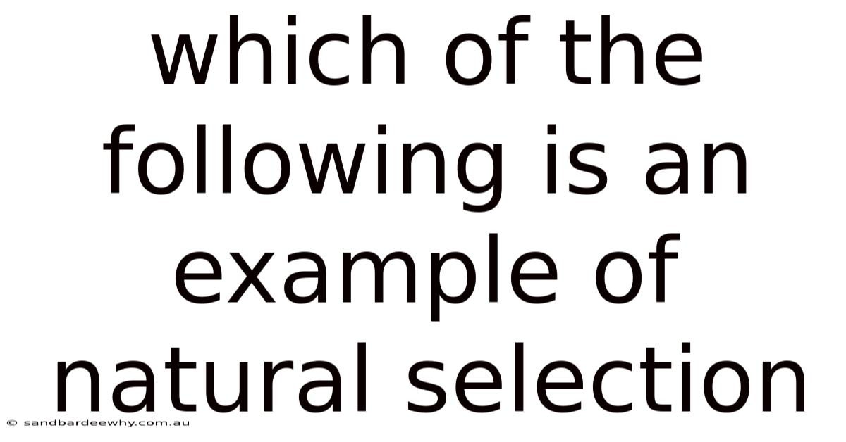 Which Of The Following Is An Example Of Natural Selection