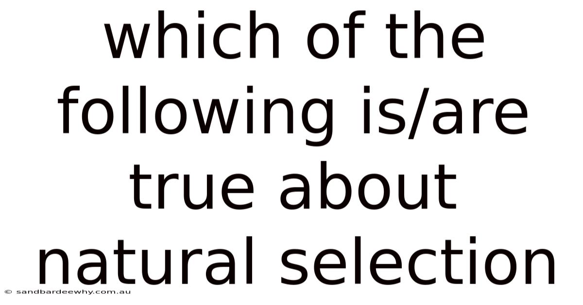 Which Of The Following Is/are True About Natural Selection