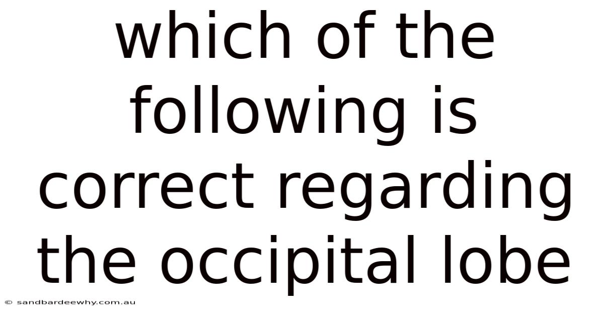 Which Of The Following Is Correct Regarding The Occipital Lobe
