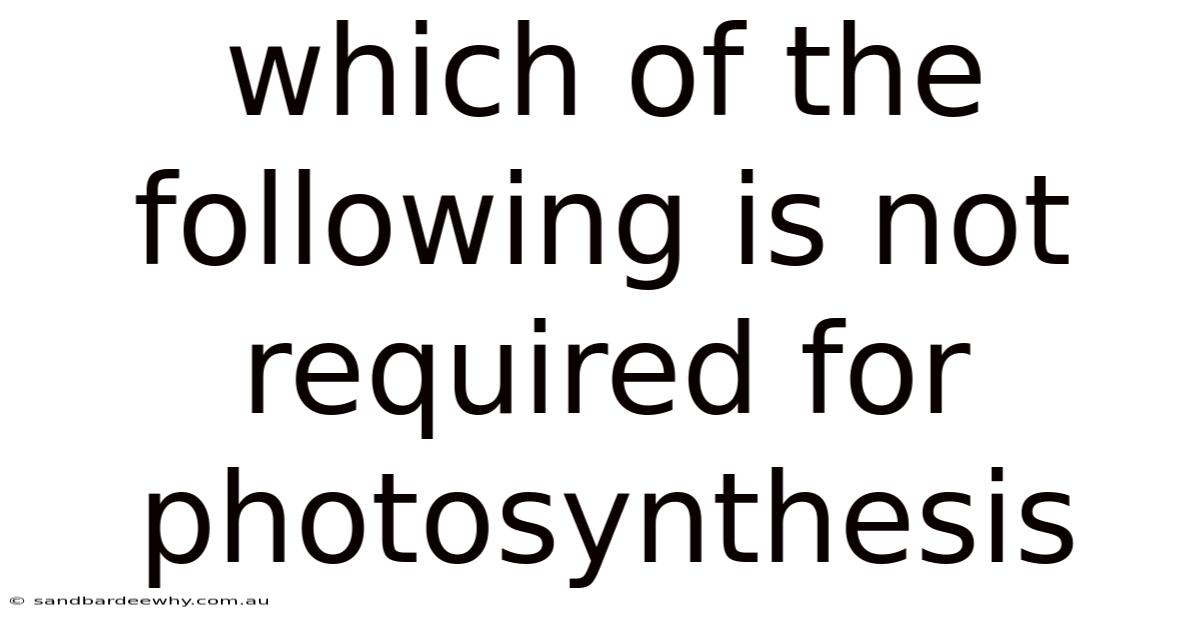 Which Of The Following Is Not Required For Photosynthesis