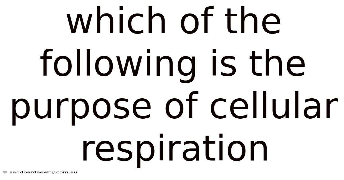 Which Of The Following Is The Purpose Of Cellular Respiration