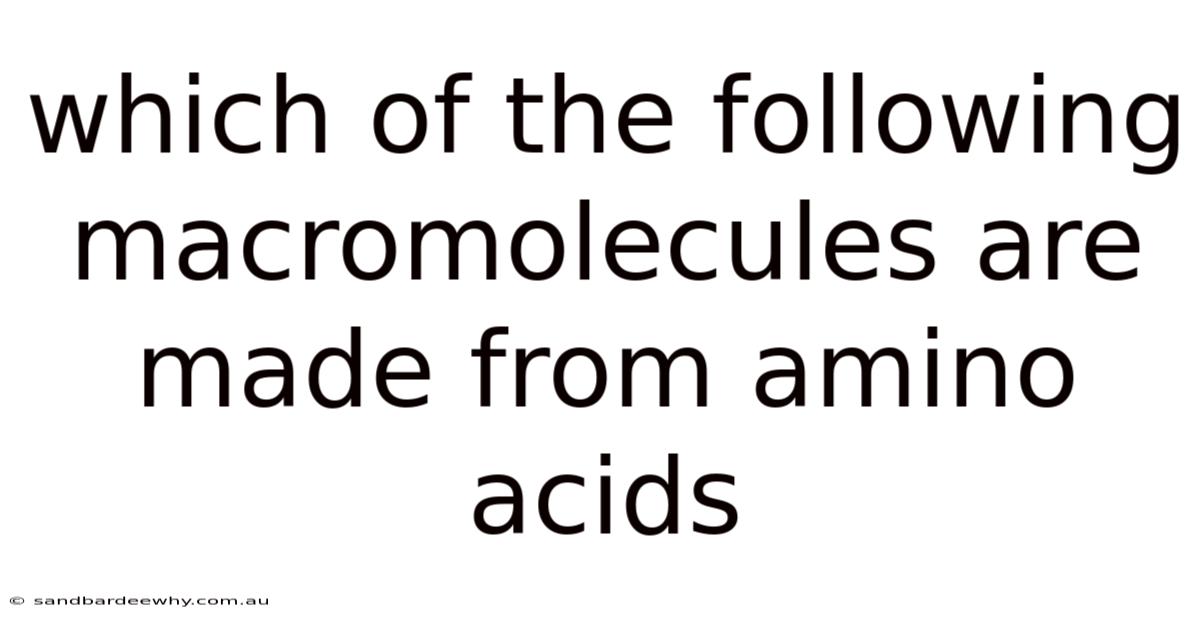 Which Of The Following Macromolecules Are Made From Amino Acids