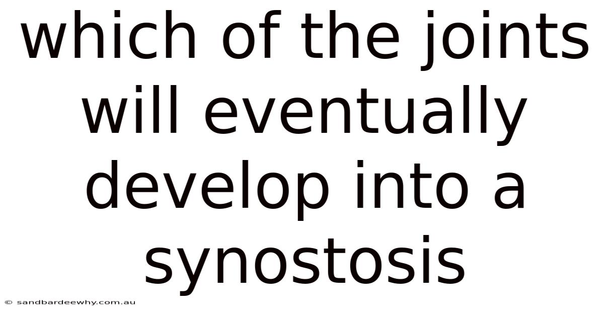 Which Of The Joints Will Eventually Develop Into A Synostosis