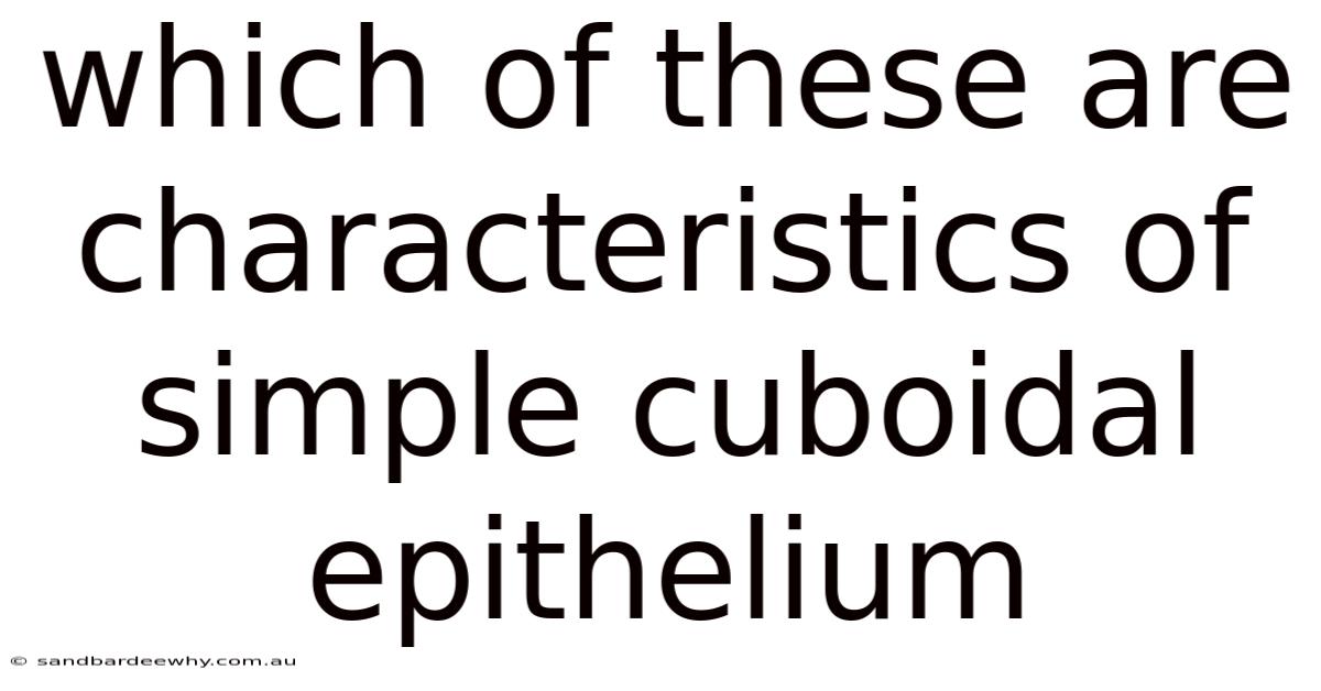 Which Of These Are Characteristics Of Simple Cuboidal Epithelium