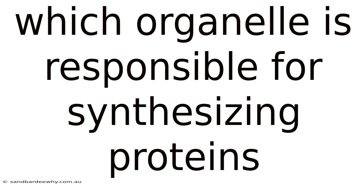 Which Organelle Is Responsible For Synthesizing Proteins
