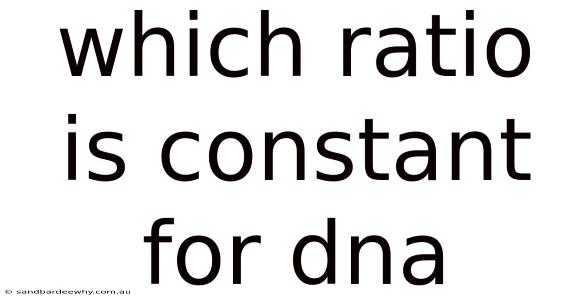 Which Ratio Is Constant For Dna
