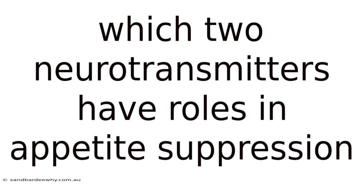 Which Two Neurotransmitters Have Roles In Appetite Suppression
