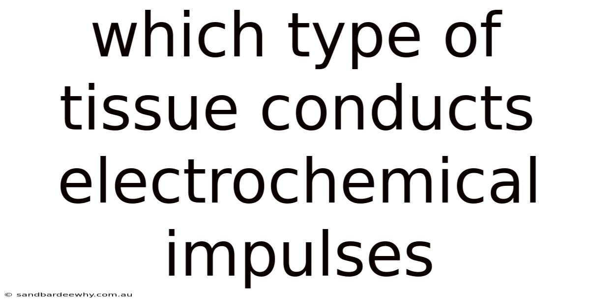 Which Type Of Tissue Conducts Electrochemical Impulses