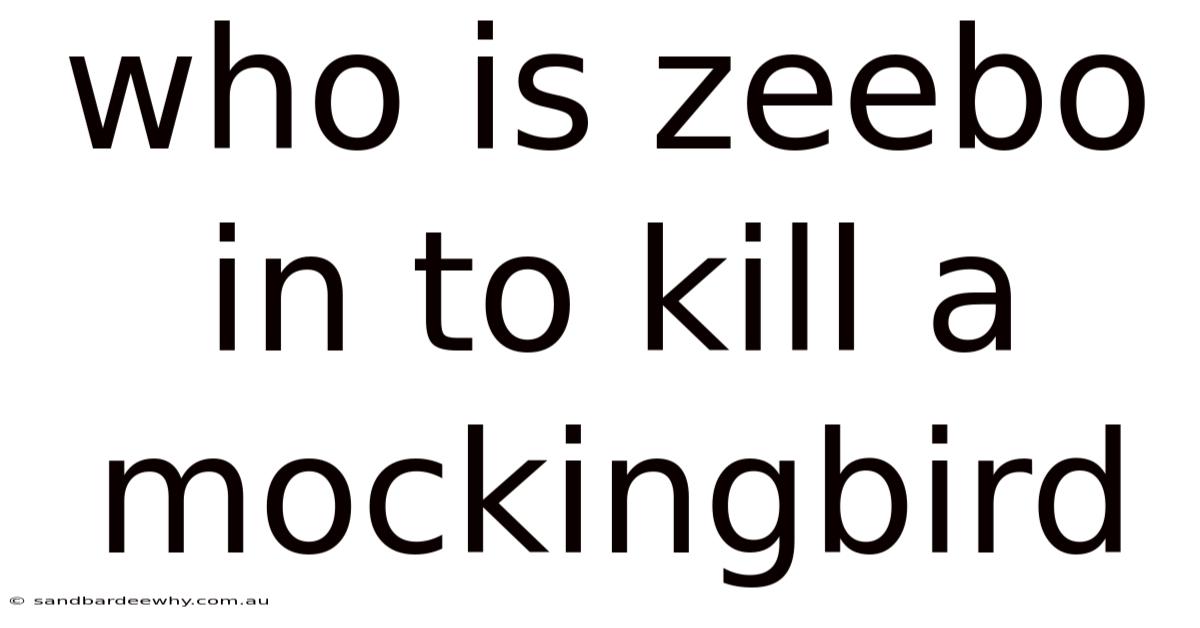 Who Is Zeebo In To Kill A Mockingbird