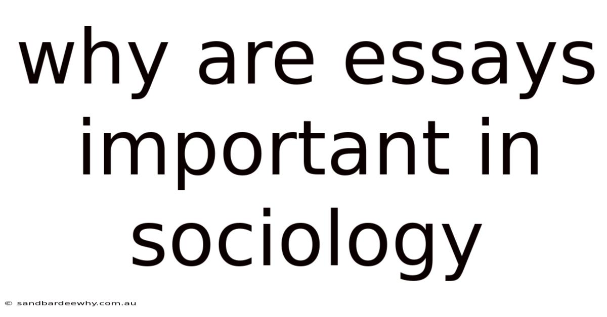 Why Are Essays Important In Sociology