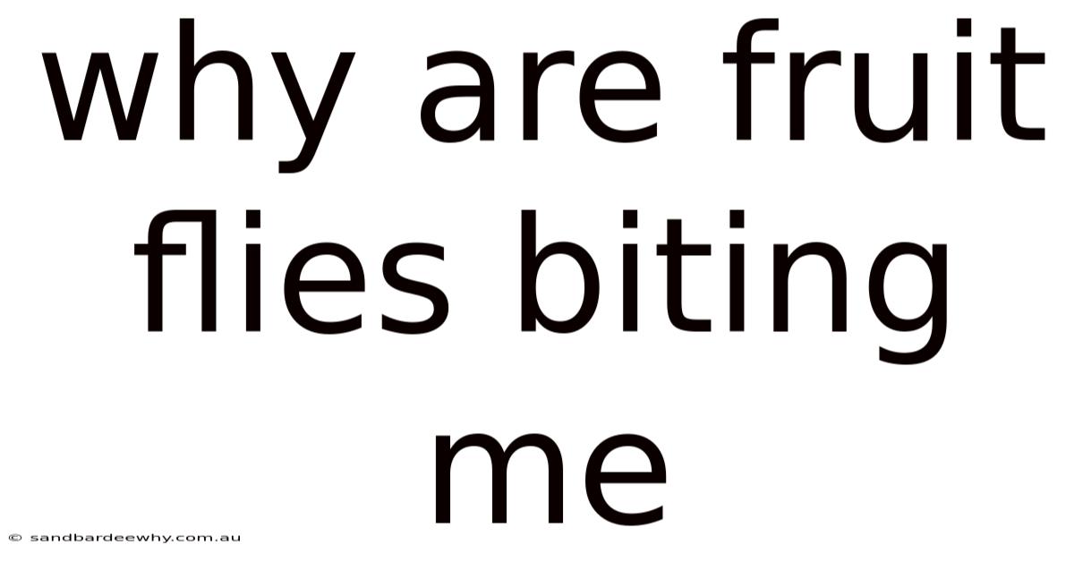Why Are Fruit Flies Biting Me