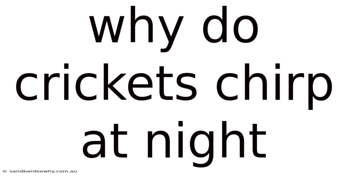 Why Do Crickets Chirp At Night