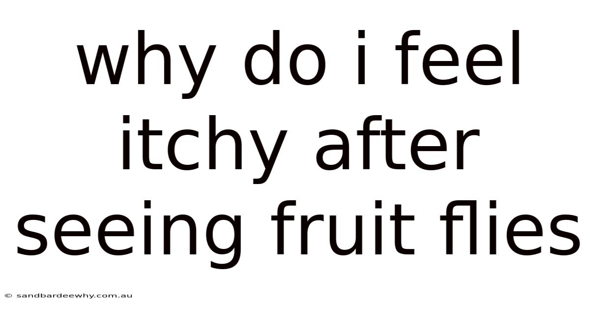 Why Do I Feel Itchy After Seeing Fruit Flies