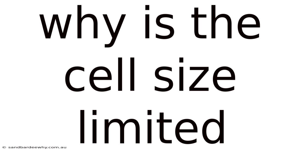 Why Is The Cell Size Limited