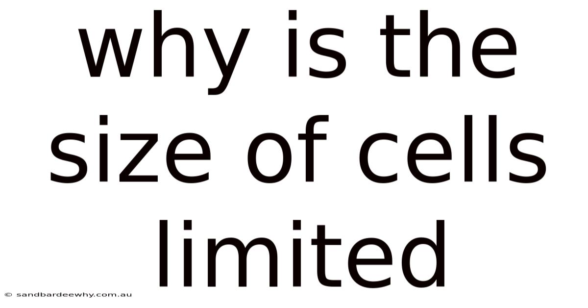 Why Is The Size Of Cells Limited