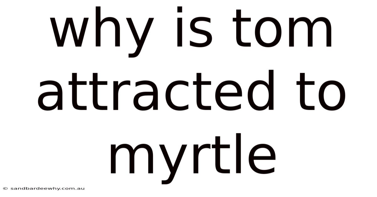 Why Is Tom Attracted To Myrtle