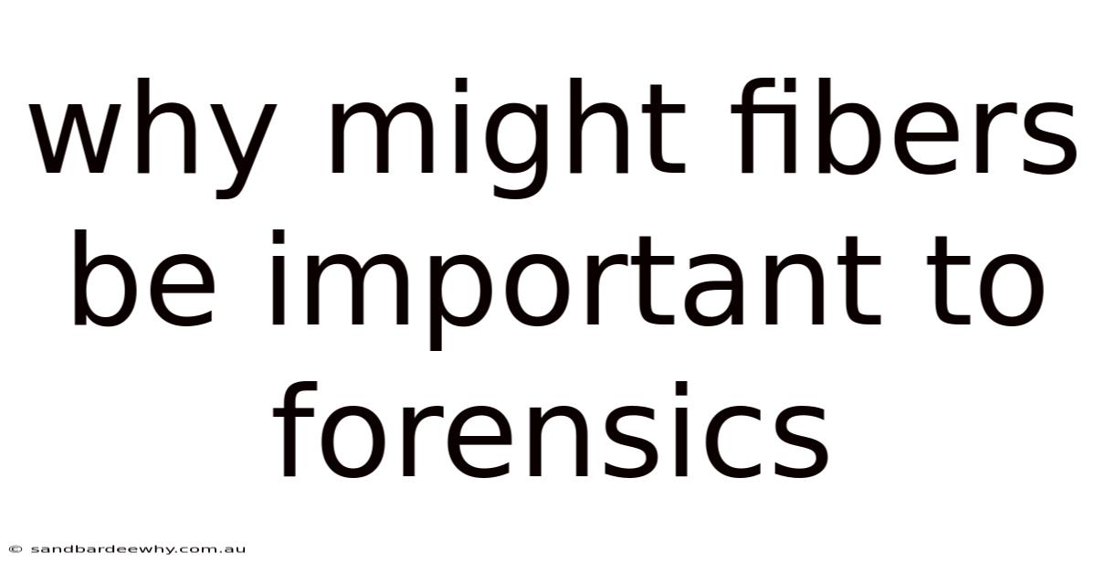 Why Might Fibers Be Important To Forensics