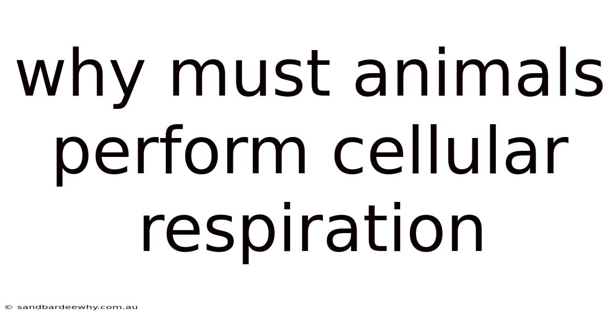 Why Must Animals Perform Cellular Respiration