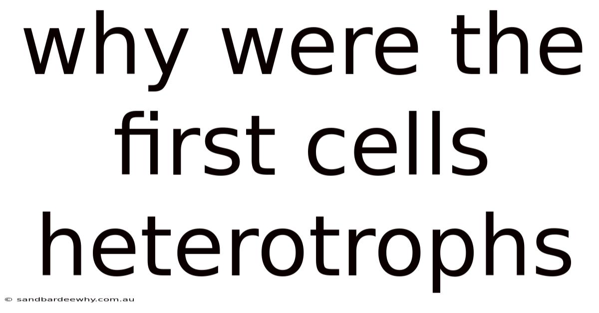 Why Were The First Cells Heterotrophs