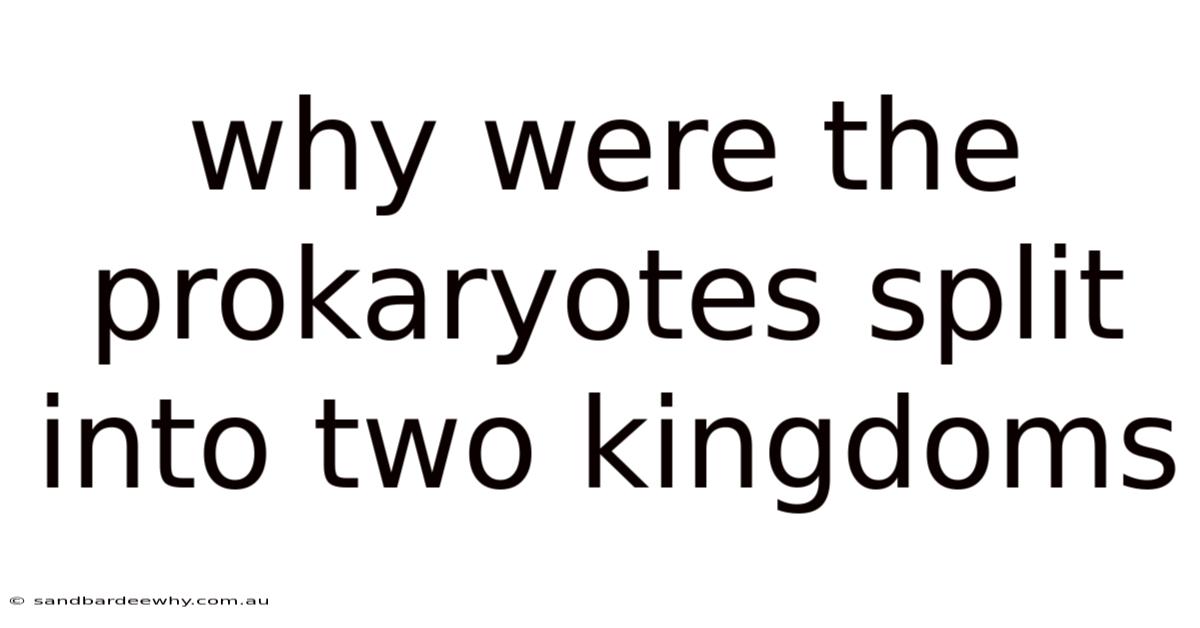 Why Were The Prokaryotes Split Into Two Kingdoms