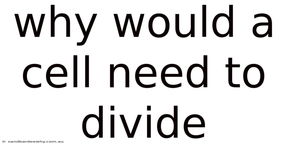 Why Would A Cell Need To Divide