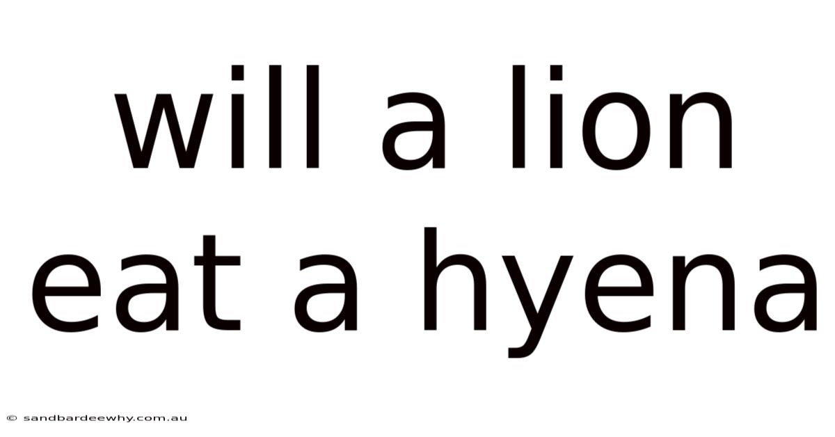 Will A Lion Eat A Hyena