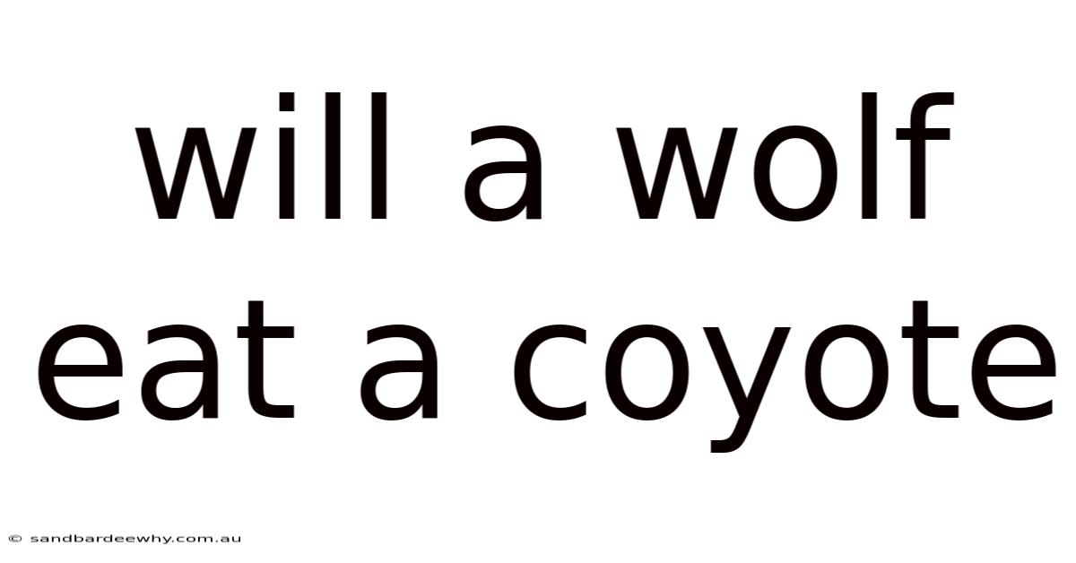 Will A Wolf Eat A Coyote