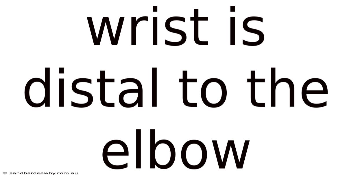 Wrist Is Distal To The Elbow
