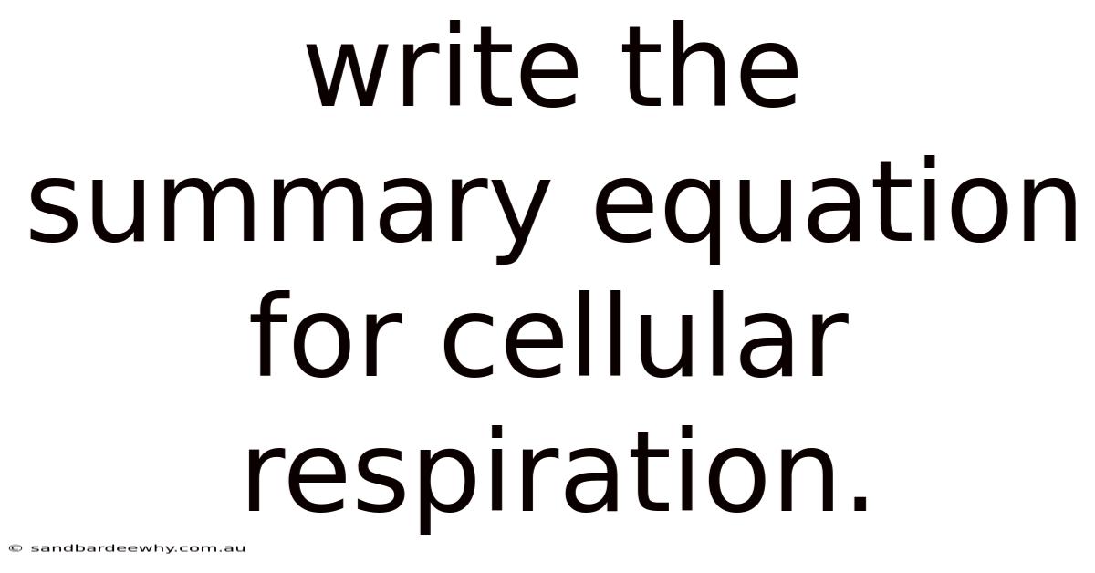 Write The Summary Equation For Cellular Respiration.