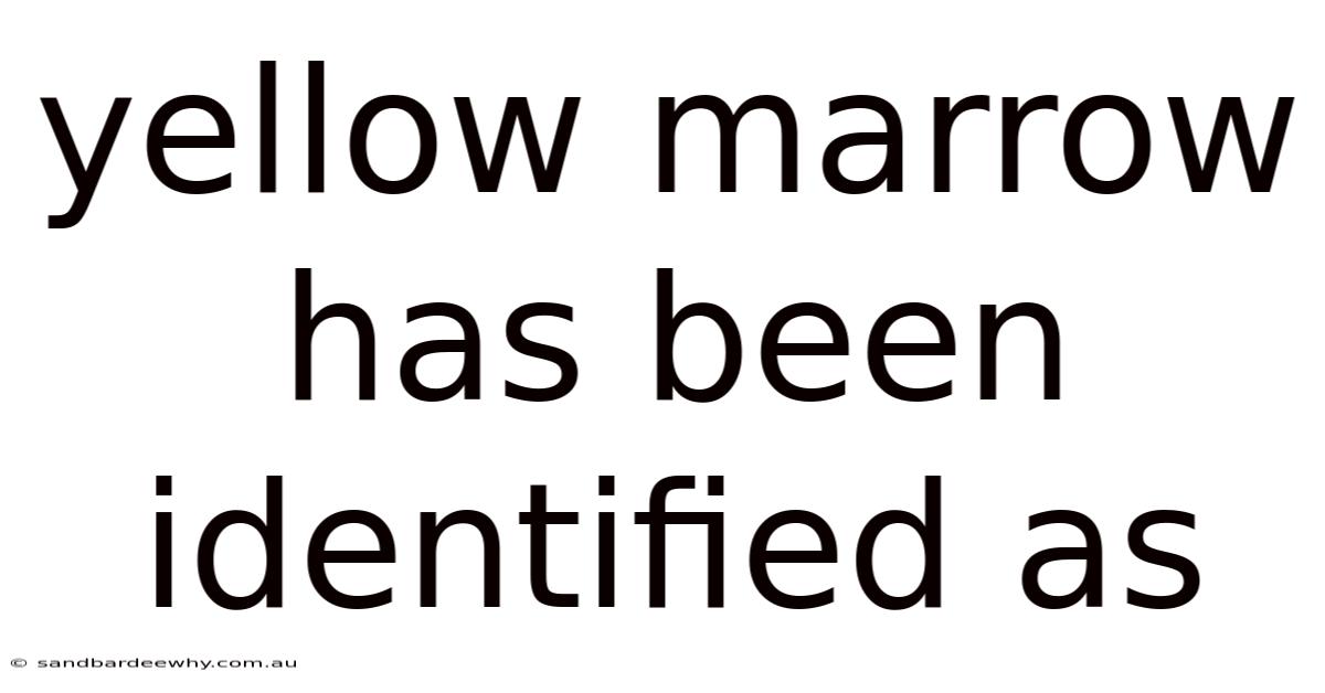 Yellow Marrow Has Been Identified As